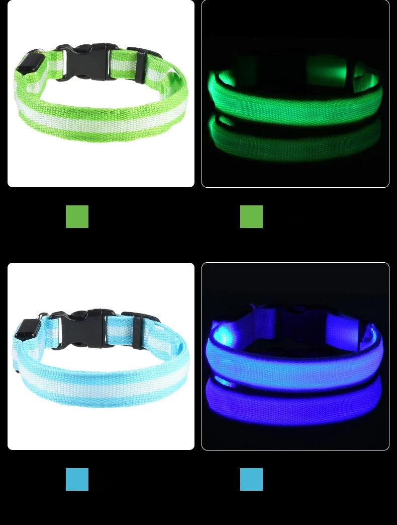 LED Dog Collar