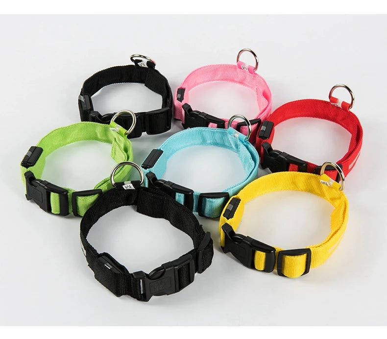 LED Dog Collar