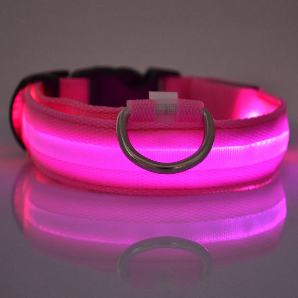 LED Dog Collar