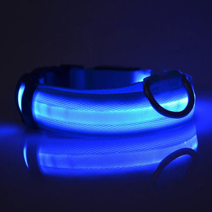 LED Dog Collar