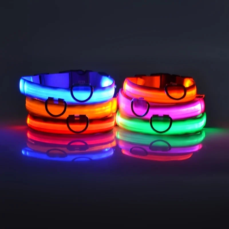 LED Dog Collar