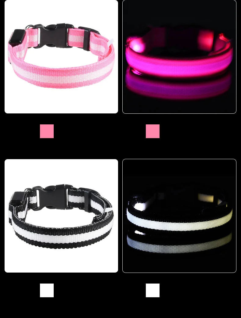 LED Dog Collar