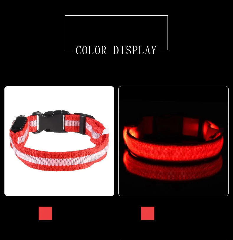 LED Dog Collar